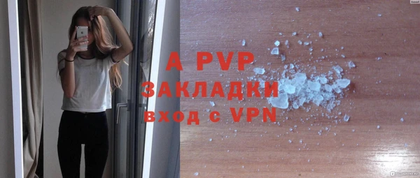 индика Каменногорск
