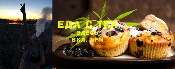 индика Каменногорск