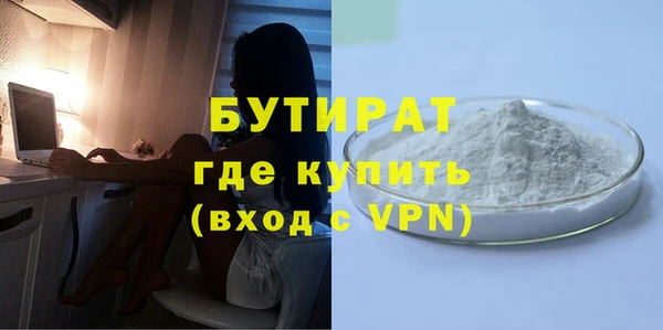 индика Каменногорск