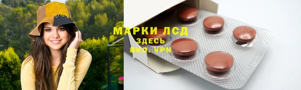 стаф Каменск-Шахтинский