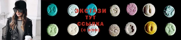 индика Каменногорск