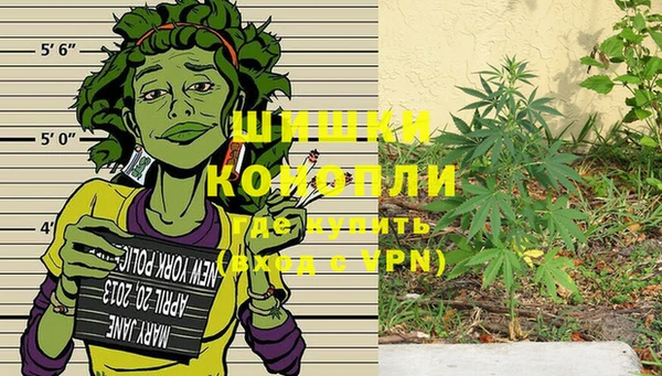 mdpv Инта