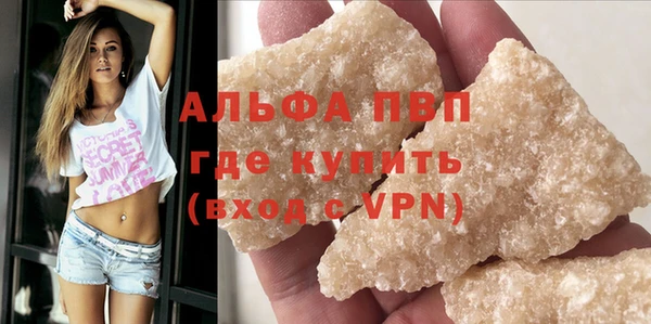 стаф Каменск-Шахтинский