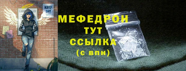индика Каменногорск