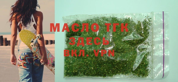 индика Каменногорск