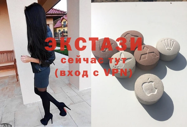 стаф Каменск-Шахтинский