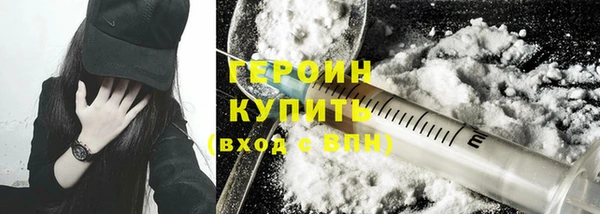 индика Каменногорск