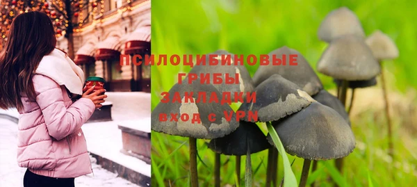 стаф Каменск-Шахтинский