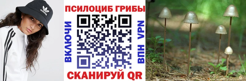 цена наркотик  Ковров  Галлюциногенные грибы Cubensis 